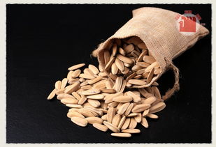 堅果炒貨辦公休閑零食小吃特產五香瓜子